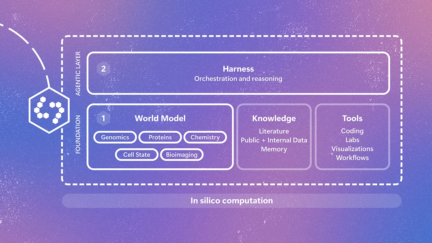 Quine 生物学 AI 系统架构图